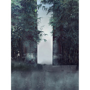 影楼摄影盘子主题古装竹子竹林，拍照背景中国风，儿童背景布pz-1011