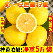 安岳黄柠檬(黄柠檬)带箱6斤柠檬水果新鲜一级果，皮薄5青香水鲜柠檬