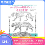 日文原版韦瑟利的动物素描图描绘猫科动物，ウェザリーの動物デッサンネコ科を描く插画技法日本正版进口图书善优