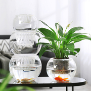 简约现代水培植物玻璃，花瓶水养绿萝绿植插花器皿，客厅桌面装饰摆件