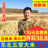 23年新米正宗东北大米黑龙江农家自产五常稻花香大米长粒香米10斤