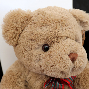 咪诺 香港CAROTOYS正版泰迪熊乐纷熊玩偶公仔 表白生日礼物送女生