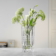 简约直筒水晶玻璃花瓶透明插花富贵竹水养摆件客厅现代鲜花花瓶