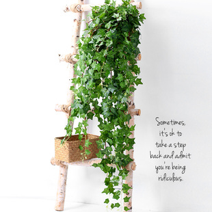 仿真爬山虎壁挂装饰植物绿叶，假花藤条藤蔓，绿植塑料花藤吊兰吊篮