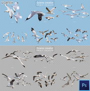 海鸥飞翔鸟群海鸟，翱翔园林景观设计图鸟类，psd分层源文件素材