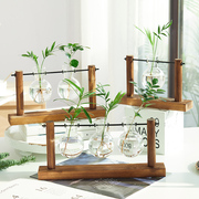 创意木架水培绿萝玻璃花瓶容器盆办公室内桌面绿植现代陶瓷摆件