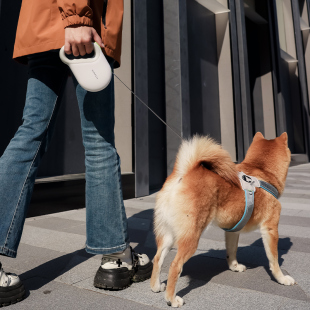 狗狗牵引绳自动伸缩小型犬泰迪遛狗，绳子中型犬防爆冲狗链子拴狗绳