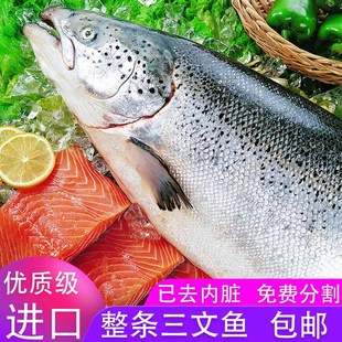进口冷冻新鲜三文鱼整条 三文鱼刺身寿司生鱼片11-18斤可选择规格