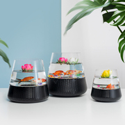 圆形创意透明玻璃鱼缸水培餐厅客厅桌面工艺摆件独立水族风水鱼缸