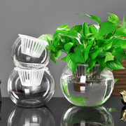 水培植物透明玻璃花瓶，简约水养绿萝盆栽，花盆圆球形小鱼缸器皿容器