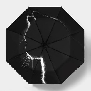自动雨伞男生简约ins风太阳伞，防晒晴雨两用遮阳伞防紫外线女黑胶