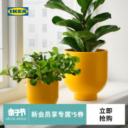 IKEA宜家DROMSK多姆斯克装饰用花盆盆栽多肉桌面绿植现代家用