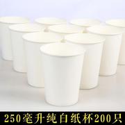 。一次性纯白色纸杯杯子250ml只加厚茶水杯冷热杯用可涂鸦