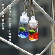 幸福海藻球旅行装迷你植物生态瓶，marimo球藻微景观随身瓶创意礼物