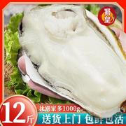 乳山生蚝鲜活10斤特大生蚝肉一级牡蛎即食新鲜海蛎子海鲜水产贝类