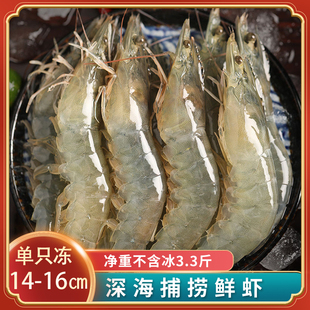 虾鲜活速冻新鲜大虾青岛海虾，特大青虾对虾，鲜活海鲜水产冷冻鲜虾