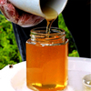 田园小漠家泡柠檬水纯正天然土蜂蜜农家，自产中蜂百花蜜蜂场