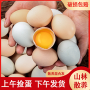 鸡蛋绿壳土鸡蛋农家，散养14混合蛋笨柴鸡蛋，孕妇乌鸡蛋40枚整箱禽