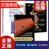 正版 3册 西班牙网球成功的秘诀+网球运动系统训练+网球运动解剖学 第2版 西班牙网球打法实战战术技巧大全书籍北京体育大学
