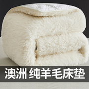 羊毛床垫软垫冬季床褥子垫被加厚垫褥家用单人冬天保暖羊羔绒垫子