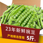 云南新鲜豌豆10斤带壳青豆角粒当季农家现摘蔬菜甜豆荚整箱9