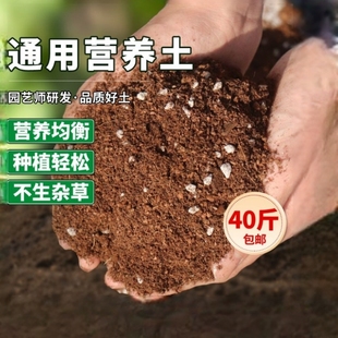 花土营养土大包养花专用通用型种菜土天堂鸟肥料发酵种花羊粪肥