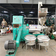 全自动不锈钢大型螺旋菜籽榨油机 商用花生大豆油茶籽冷榨油机