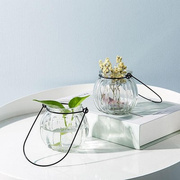 悬挂客厅插花吊瓶创意花盆装饰品透明玻璃花瓶南瓜简约小清新摆件