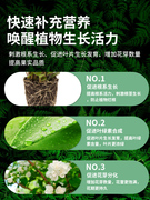 花草水培营养液植物通用型，养花专用肥料，花卉绿植室内花肥家用盆栽