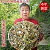 蒲公英新货神农架野生蒲公英根茶整颗晒干带根中药材黄花苗婆婆丁