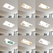 300x600平板灯集成吊顶led灯30x60 厨房卫生间吸顶灯铝扣板嵌入式
