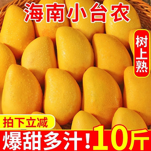海南小台农芒果10斤新鲜小台芒当季特产，水果现摘芒果大果整箱