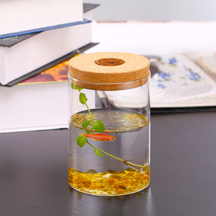 透明简约创意水培植物玻璃花瓶水养绿萝九里香罗汉松盆栽插花瓶新
