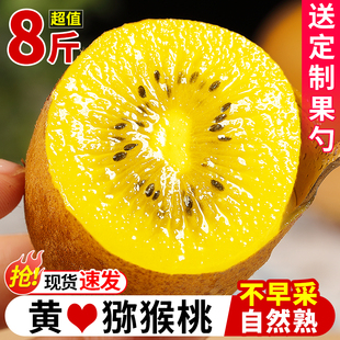 四川黄心猕猴桃8斤新鲜大果当季现摘奇异果超甜孕妇水果整箱