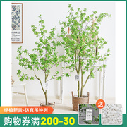 北欧风仿真绿植摆件日本吊钟植物马醉木室内客厅装饰假树落地盆栽