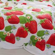 3D大草莓床单单件纯棉加厚斜纹布100全棉单人1.2米双人1.51.82.0m