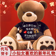 大熊毛绒玩具公仔布洋娃娃抱抱熊，泰迪熊猫大号，新年玩偶女生日礼物