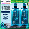 丝蕴日本蓝藻净透清润洗发水深层清洁头皮发丝温和补水顺滑洗发露