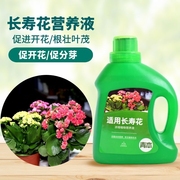 长寿花肥料营养液，专用盆栽花肥家用植物花卉，养花促花通用型
