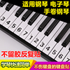 初学简谱电钢琴键盘贴纸88 61 54 49键电子琴贴37口风琴按键音符