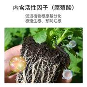 生根粉植物通用快速扦插壮苗剂多肉兰花富贵竹，发财树花卉专用肥料