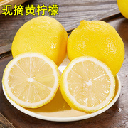 四川黄柠檬(黄柠檬)新鲜当季鲜果