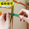 植物绑带爬藤双面粘绑花，造型固定线扎线，支撑绳带强力整理捆绑绿植