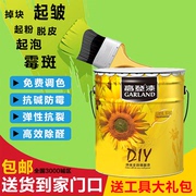 DIY防霉防水乳胶漆内墙防潮/墙面漆净味油漆涂料白色1KG约刷5