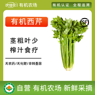 沈佳农有机西芹芹菜无农药，炒菜新鲜蔬菜，配送榨汁安疗青菜400g