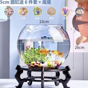 定制加厚款玻璃鱼缸圆形，生态创意水培鱼缸，家用桌面小型造景迷你鱼