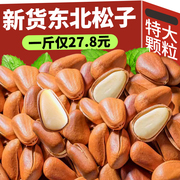 2023新货东北开口松子特产级特大颗粒，红坚果干果零食散装称斤