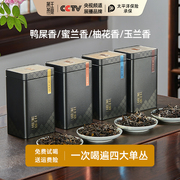 凤凰单丛鸭屎香茶叶特级新春茶(新春茶)2023年潮州特级乌岽蜜兰香礼盒装