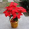 圣诞花一品红仿真花卉绢花假花圣诞红一片红庆典，装饰盆栽工程花