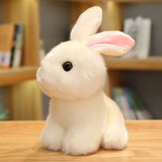 仿真兔子毛绒玩具，韩国可爱兔兔公仔小白兔玩偶，少女心娃娃小号女生